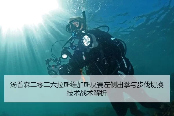 汤普森二零二六拉斯维加斯决赛左侧出拳与步伐切换技术战术解析