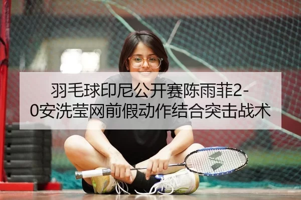 yu-mao-qiu-yin-ni-gong-kai-sai-chen-yu-fei-an-xi-ying-wang-qian-jia-dong-zuo-jie-he-tu-ji-zhan-shu-2-600.jpg