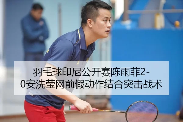 yu-mao-qiu-yin-ni-gong-kai-sai-chen-yu-fei-an-xi-ying-wang-qian-jia-dong-zuo-jie-he-tu-ji-zhan-shu-3-502.jpg