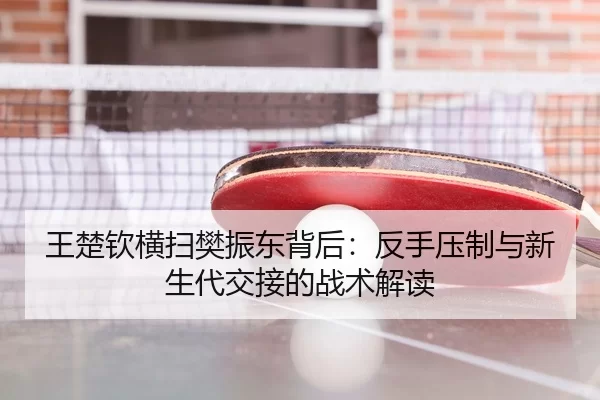 wang-chu-qin-heng-sao-fan-zhen-dong-bei-hou-fan-shou-ya-zhi-yu-xin-sheng-dai-jiao-jie-de-zhan-shu-jie-du-3-397.jpg